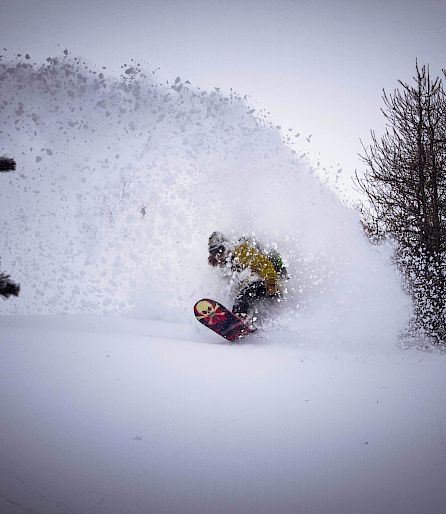 Snowboarder fährt eine verschneite Piste hinunter, umgeben von Schnee wirbelnd und Bäumen im Hintergrund.