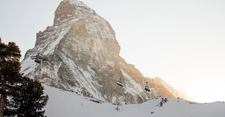 Sommet de montagne en hiver avec des pentes enneigées et des remontées mécaniques sous un ciel clair. Arbres au premier plan.