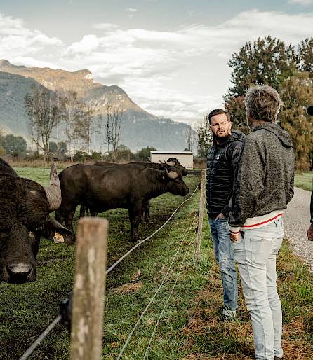 Trois hommes observent des buffles dans un pré avec un paysage de montagne.